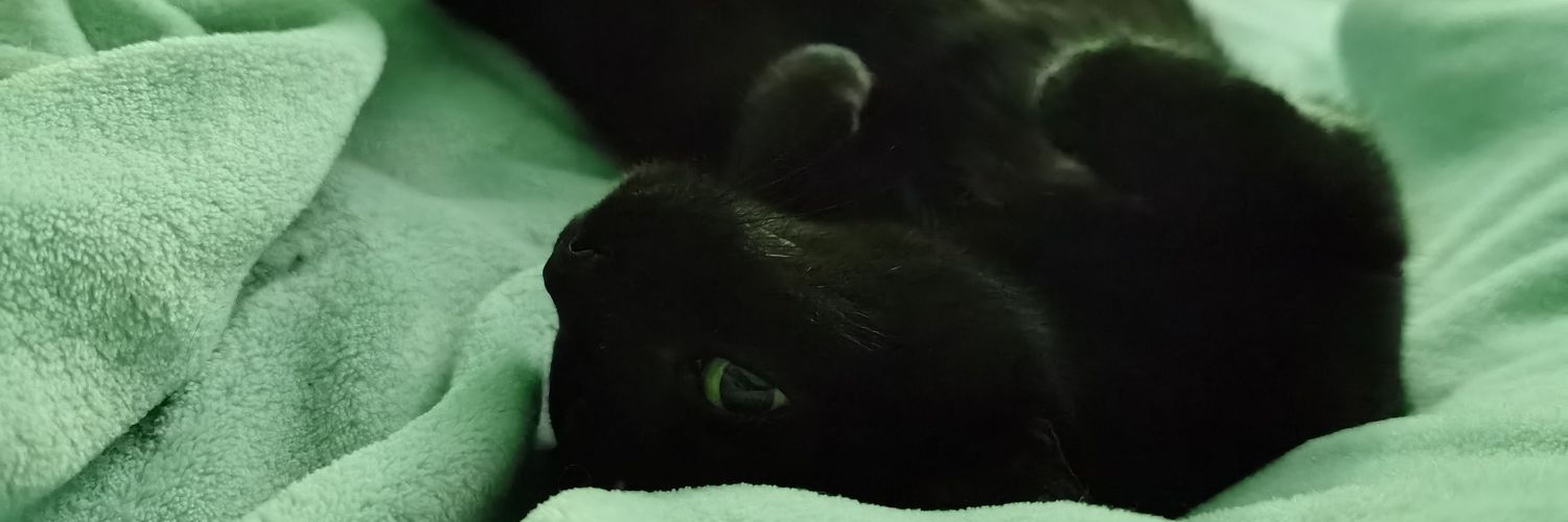 giingerful's profile banner image