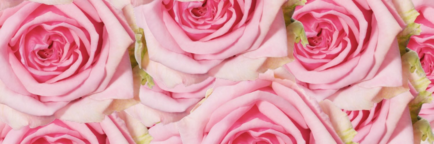 ashleyshariece's profile banner image