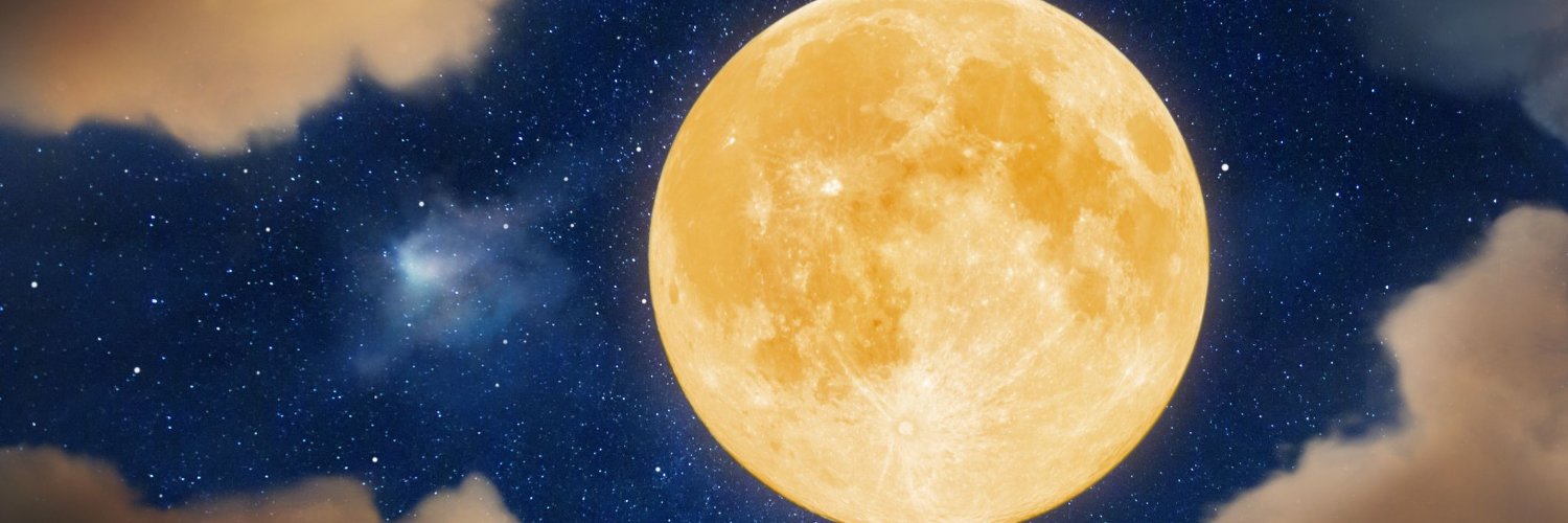 DogMoonTrader's profile banner image