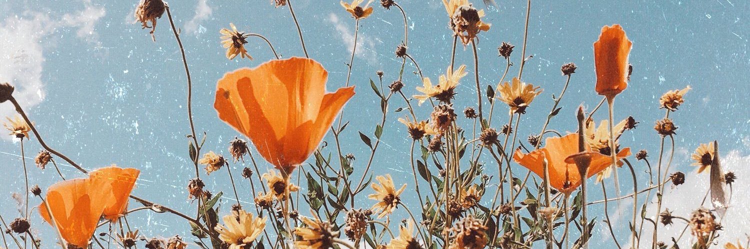 KaylaValles's profile banner image