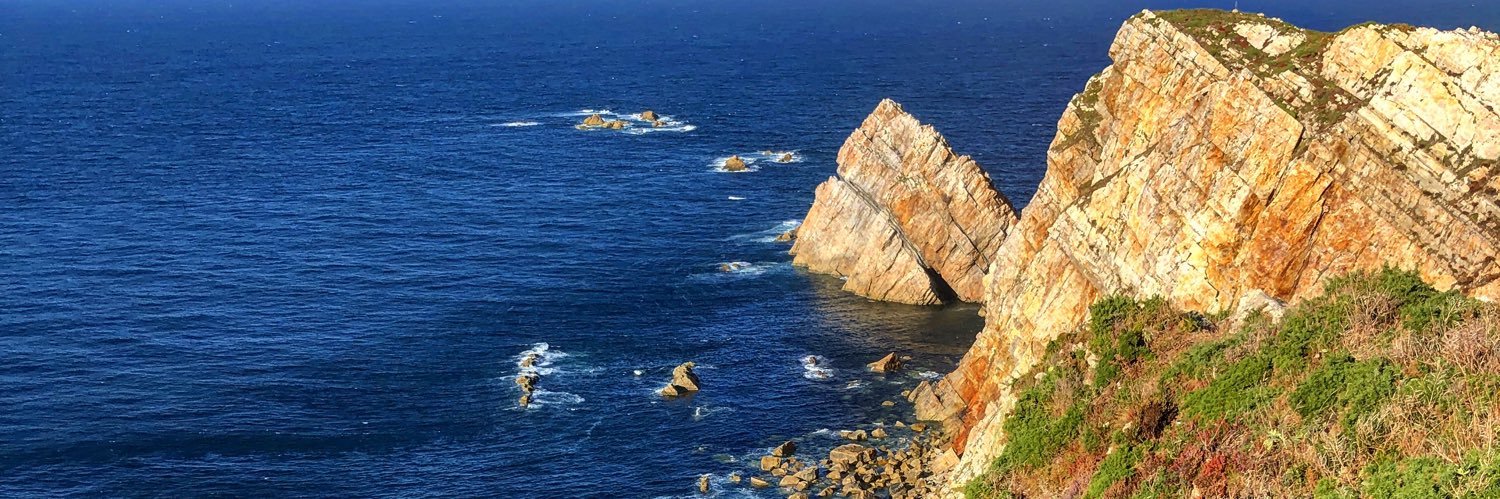 Neethoven🇪🇸 banner