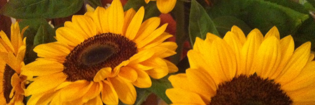 angeleslr79's profile banner image