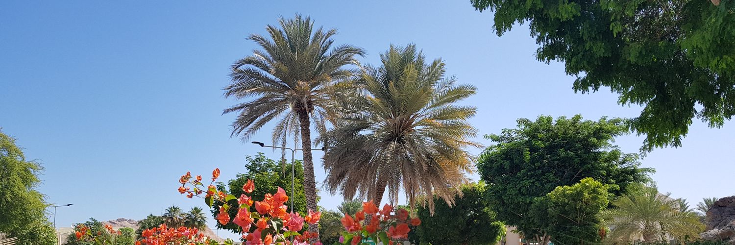 yahya4090's profile banner image