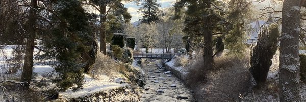 brodiebumblebee Profile Banner