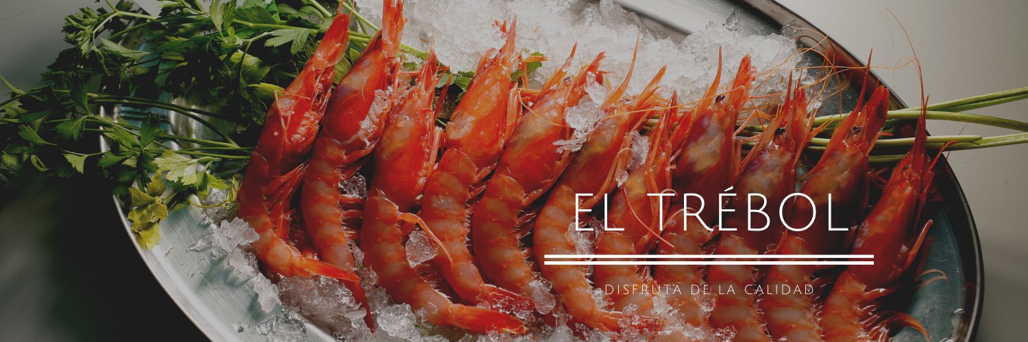 ElTrebolVa's profile banner image