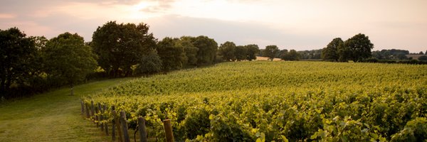 Chapel Down Profile Banner