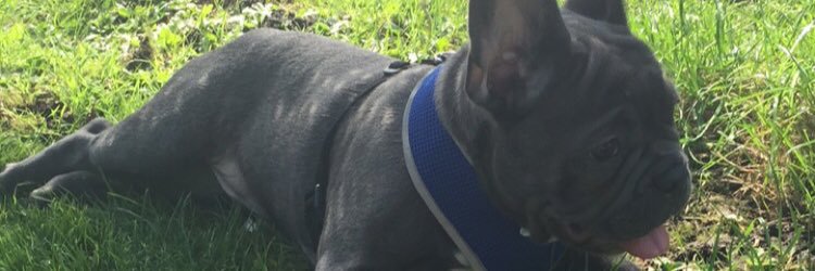 JessyLyn78's profile banner image