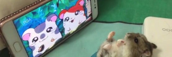 claracdss's profile banner image