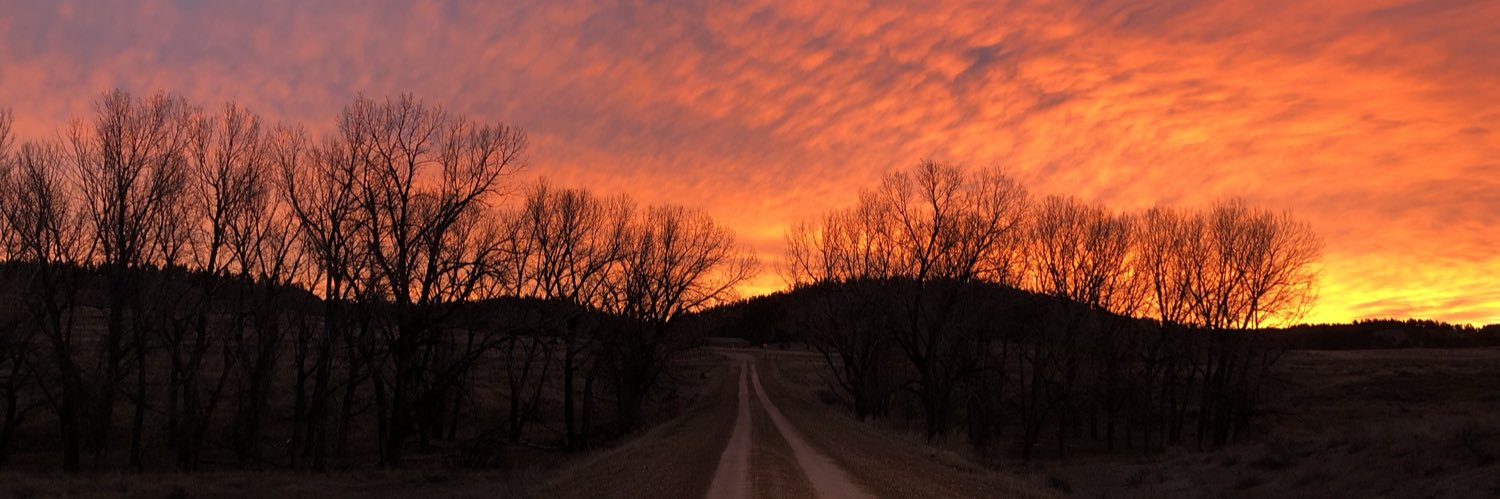 Shay_Singleton's profile banner image