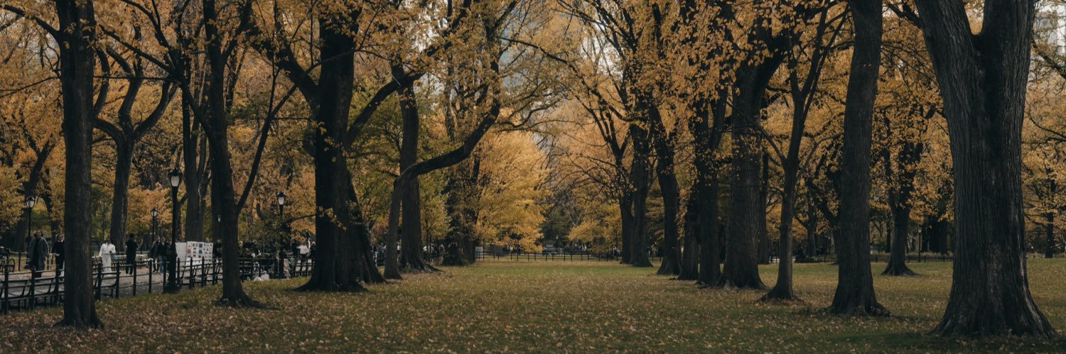 shortstache™ banner