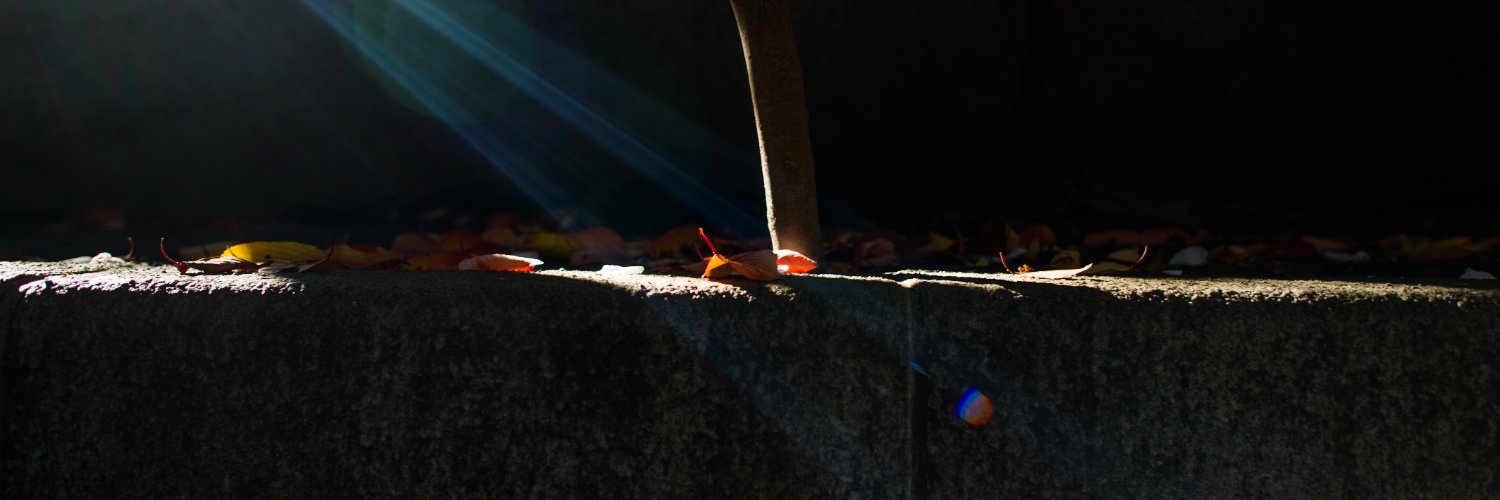 ingridjf18's profile banner image