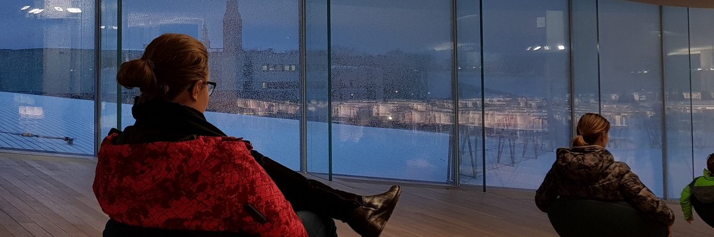 Valdemar Kallunki banner