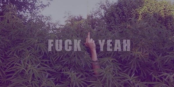 SrWeed_'s profile banner image