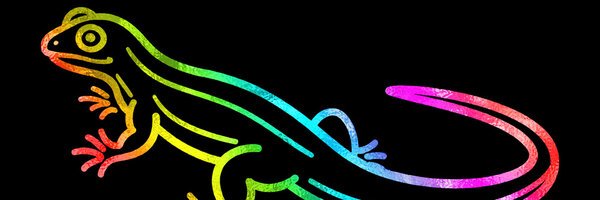 SPXLL's profile banner image