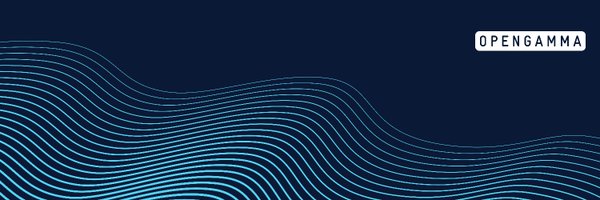 OpenGamma Profile Banner