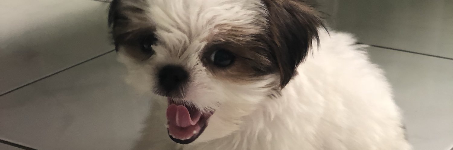 SinichiKJ's profile banner image