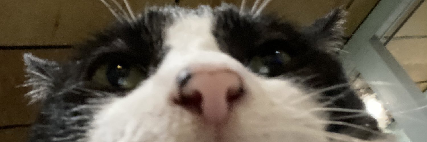 TheReed44's profile banner image