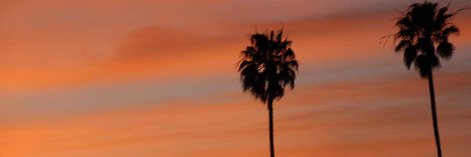 StaciGustafson's profile banner image