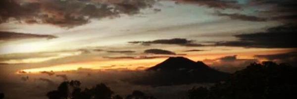 friscadepari's profile banner image