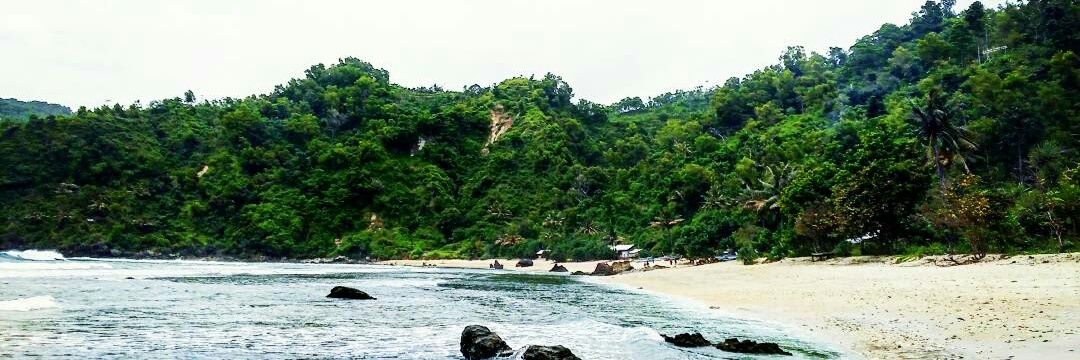 wulananggorow's profile banner image