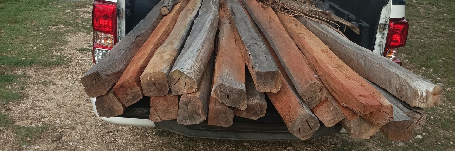 Álvaro Rocha banner