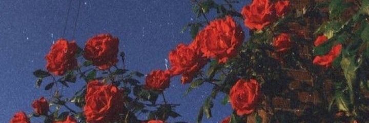 800meilen's profile banner image