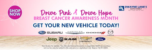 DwayneLanesAuto Profile Banner