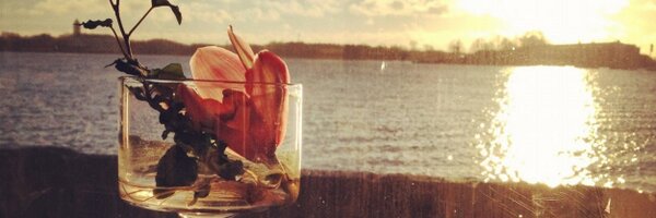 InkaM Profile Banner