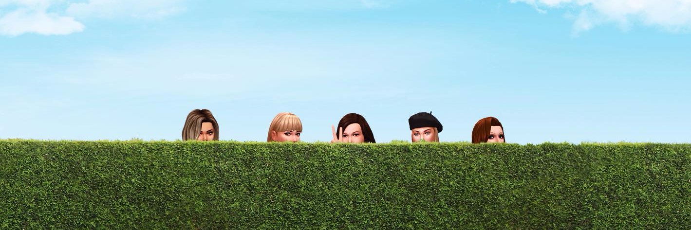 felipebog's profile banner image
