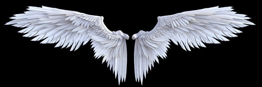 ANABIL131's profile banner image
