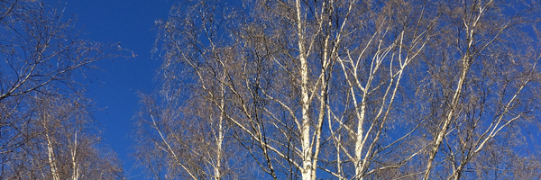 alegnasmith Profile Banner