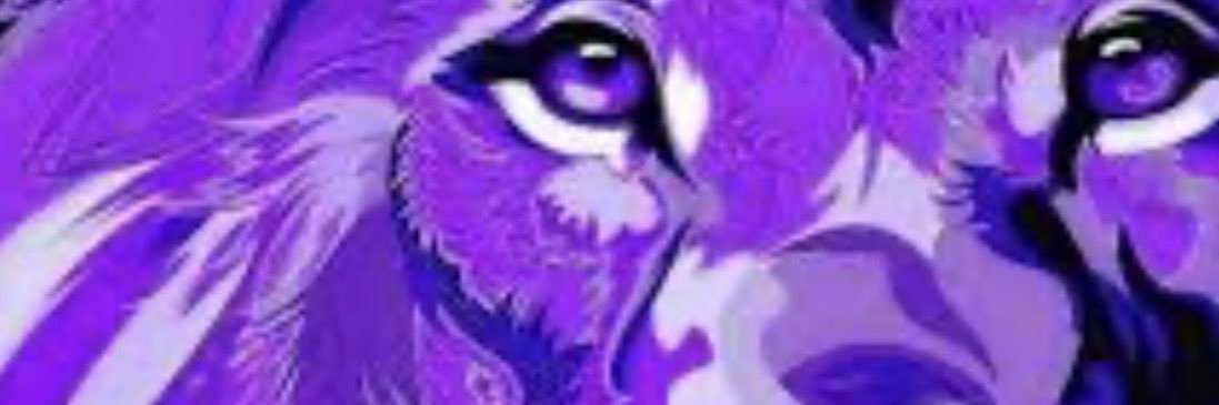 nikolxu's profile banner image