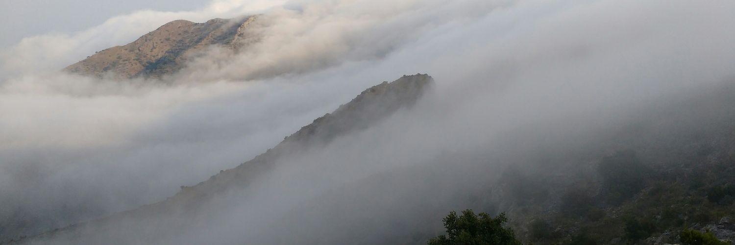 manmuri's profile banner image