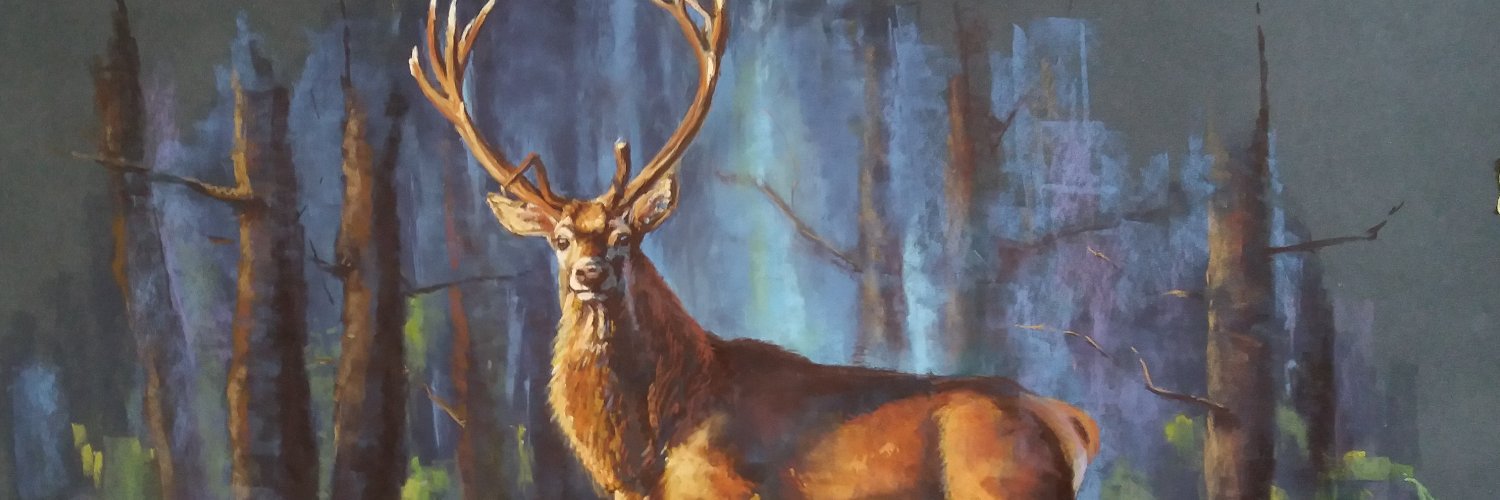 Marten Visser's banner