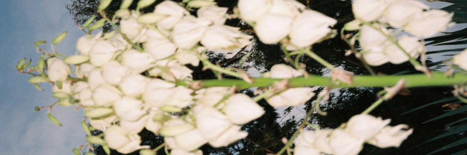 Fanette_G's profile banner image