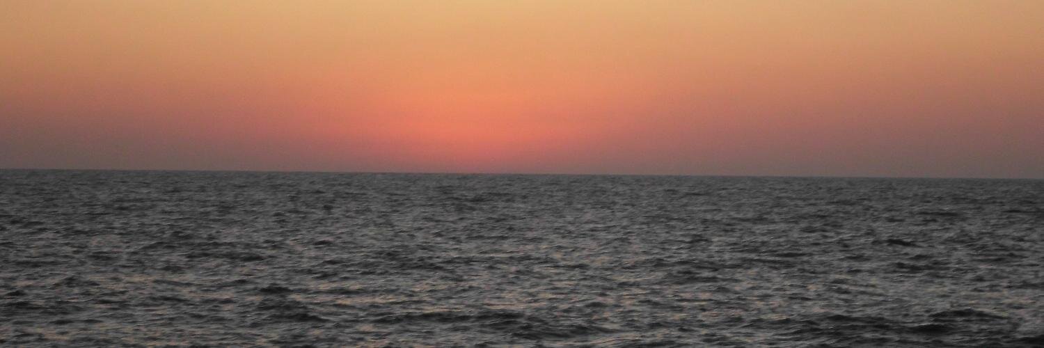 cleesti's profile banner image