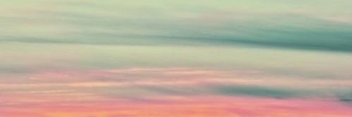 adrienne1613's profile banner image