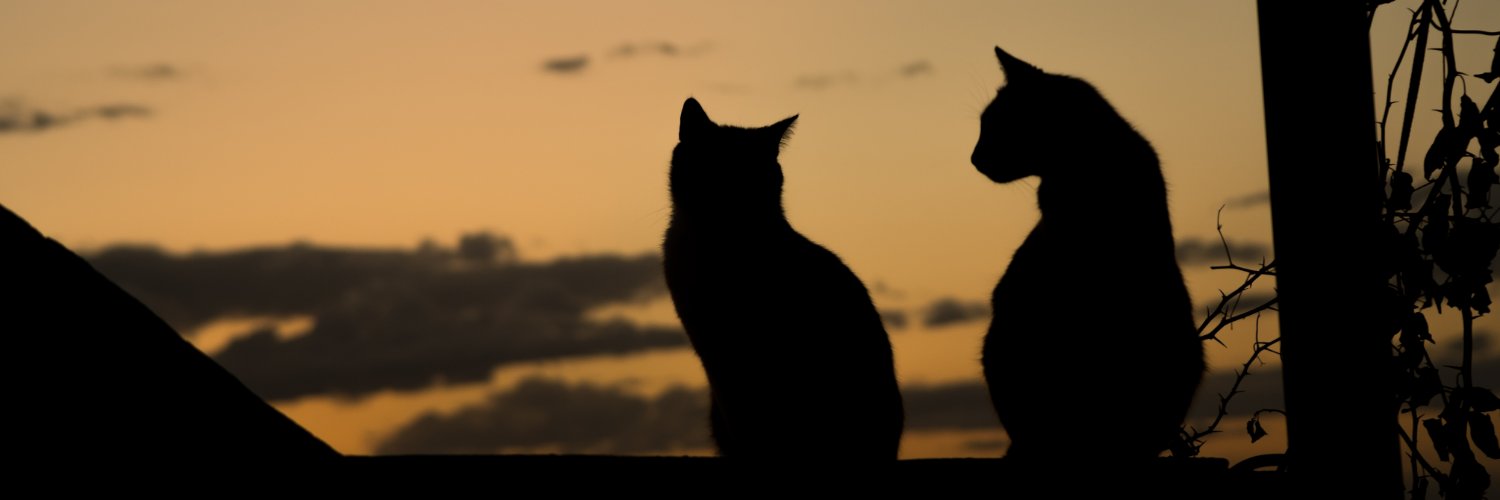 𝔾𝕖𝕠𝕣𝕘𝕖's banner