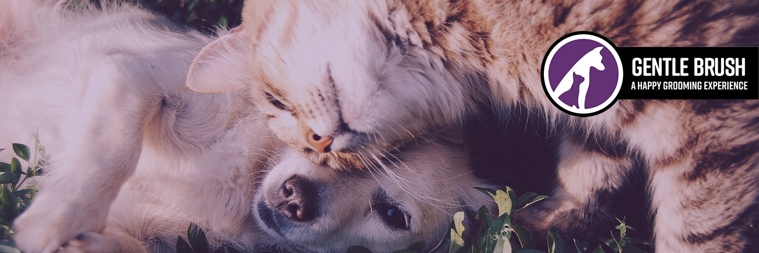 Gentlebrush's profile banner image