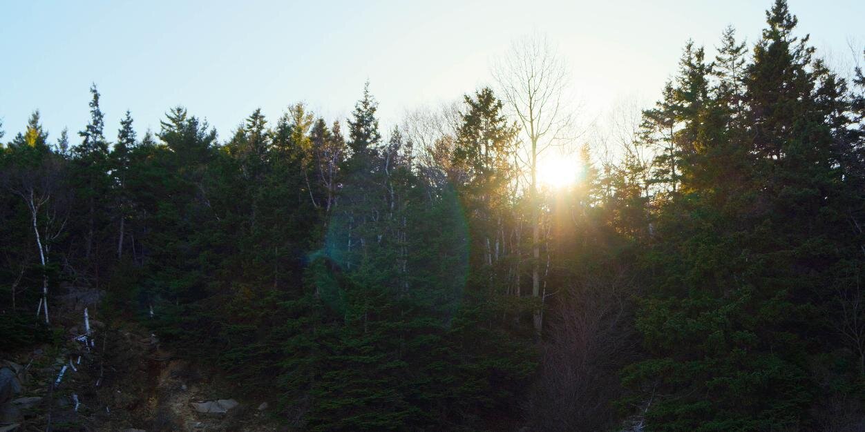 AudgeBirkhimer's profile banner image