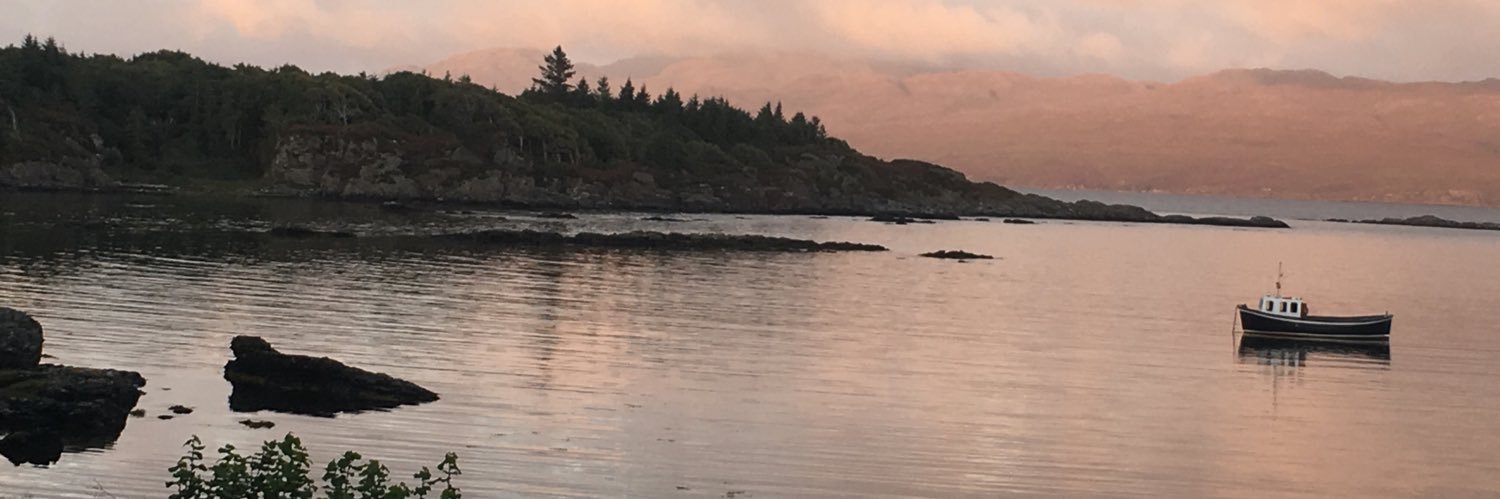 lynnemoz's profile banner image