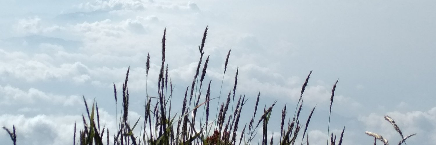 Kibarnih's profile banner image