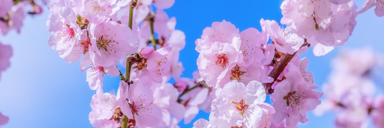 stllr_'s profile banner image