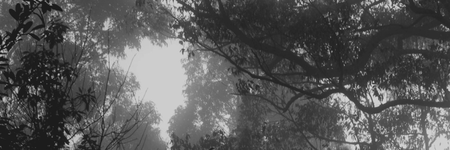 Julia Kavan - A Dark Miscellany banner