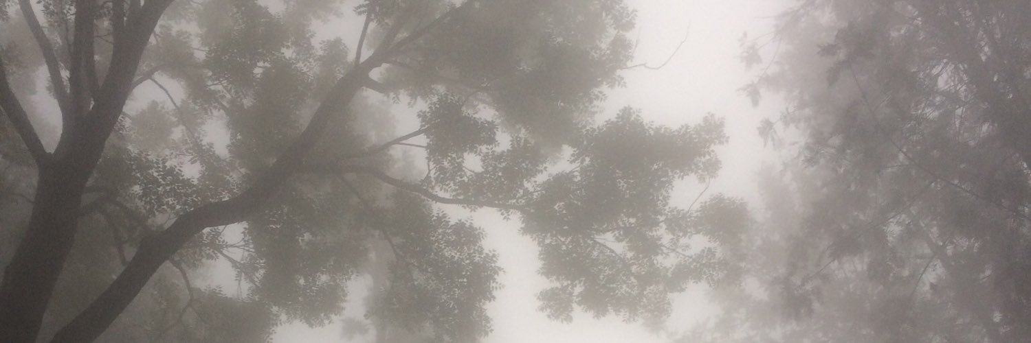 Macqueline1's profile banner image