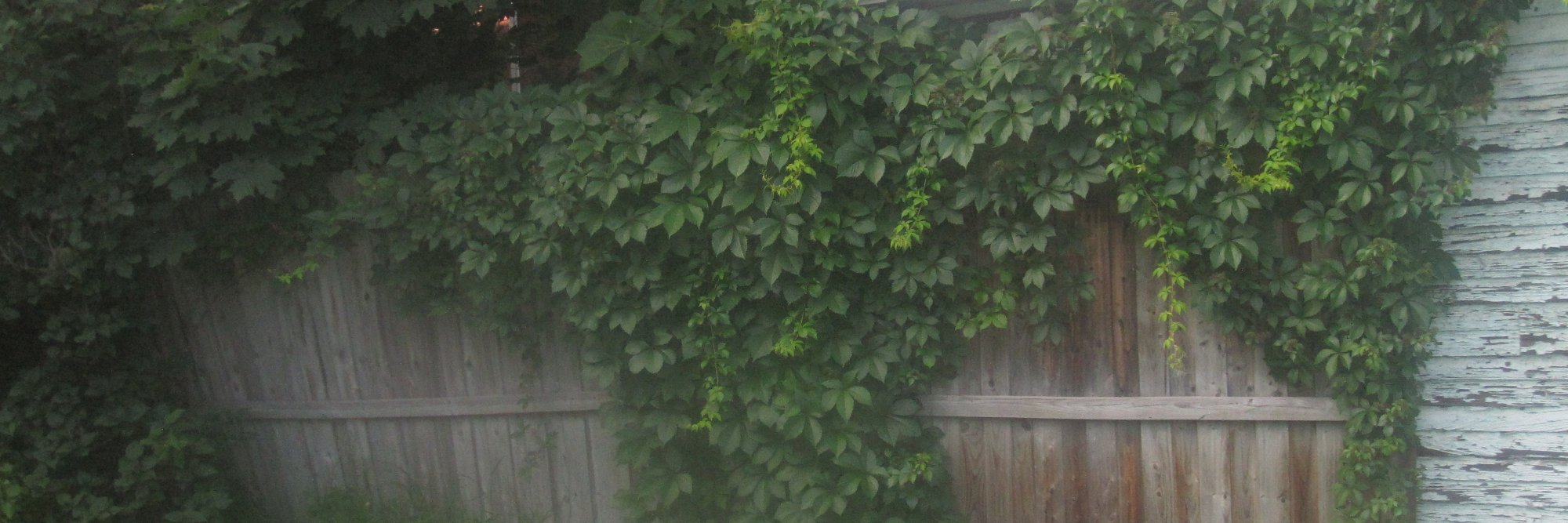 Nancy_Behrendt's profile banner image