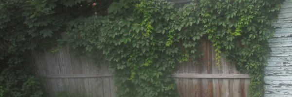 Nancy_Behrendt Profile Banner