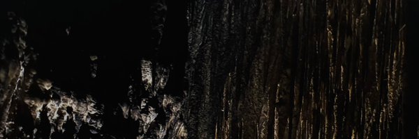 husvedat Profile Banner