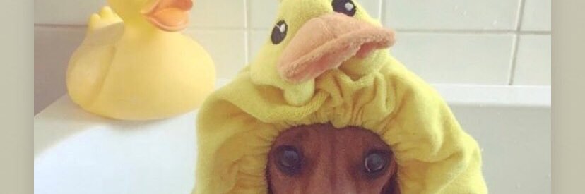 lojeannee's profile banner image
