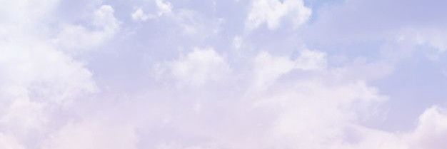 White_Angel_Chu's profile banner image